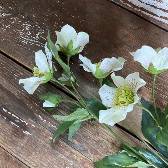 Anthropologie Terrain Faux Dogwood Stem - Picture 3 of 5